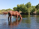 photo thumbnail #11