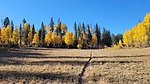 photo thumbnail #11