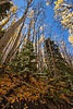 photo thumbnail #13