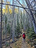 photo thumbnail #8