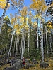 photo thumbnail #12