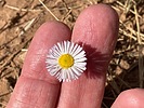 photo thumbnail #15