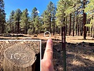 photo thumbnail #7