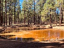 photo thumbnail #9