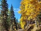 photo thumbnail #2