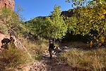 photo thumbnail #4
