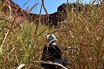 photo thumbnail #11
