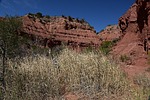 photo thumbnail #10