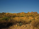 photo thumbnail #4