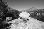 photo thumbnail #13