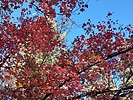 photo thumbnail #1