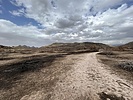 photo thumbnail #12