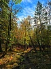 photo thumbnail #11