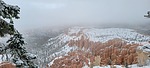 photo thumbnail #8