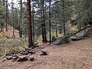 recent photo