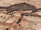 photo thumbnail #15