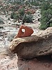 photo thumbnail #14