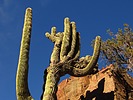 photo thumbnail #10