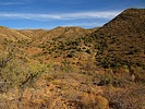 photo thumbnail #8