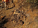 photo thumbnail #11