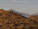 photo thumbnail #9