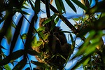 photo thumbnail #15