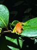 photo thumbnail #5