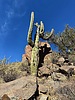 photo thumbnail #13