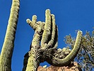 photo thumbnail #14