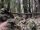photo thumbnail #1