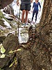 2024-10-28 :2: West Fork Oak Creek Trail #108 :: cactuscat