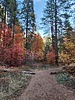 photo thumbnail #13