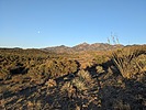 recent photo