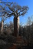 photo thumbnail #12