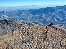 photo thumbnail #8