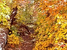 photo thumbnail #14