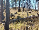 photo thumbnail #6