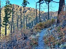 photo thumbnail #7