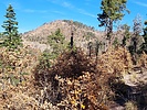 photo thumbnail #11