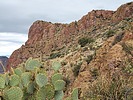 photo thumbnail #5