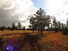 photo thumbnail #13