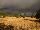 photo thumbnail #12
