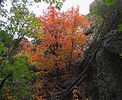 photo thumbnail #14