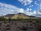 photo thumbnail #1