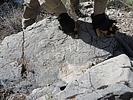 photo thumbnail #15
