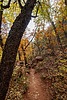 photo thumbnail #11
