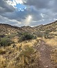 photo thumbnail #11
