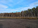 photo thumbnail #6