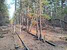 photo thumbnail #7