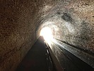 photo thumbnail #14